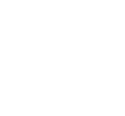 Ukrainian Trident symbol inside of Canadian Maple leaf. White color